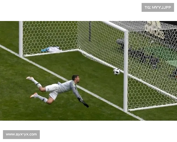 金华站引入鹰眼回放系统 争议判罚可随时启动录像审议 金华站引入鹰眼回放系统 争议判罚可随时启动录像审议